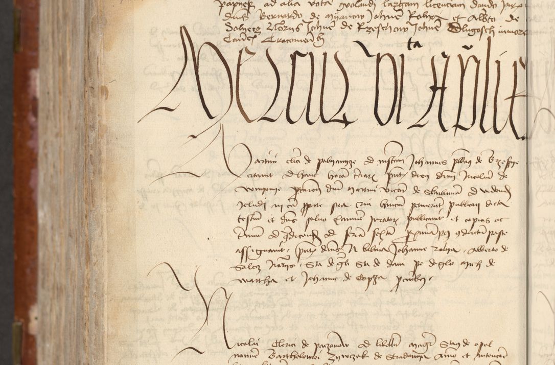 Zdjęcie nr 800 dla obiektu archiwalnego: [Acta actorum officialia coram Raphaele de Skawina]