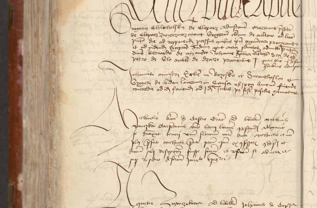 Zdjęcie nr 794 dla obiektu archiwalnego: [Acta actorum officialia coram Raphaele de Skawina]