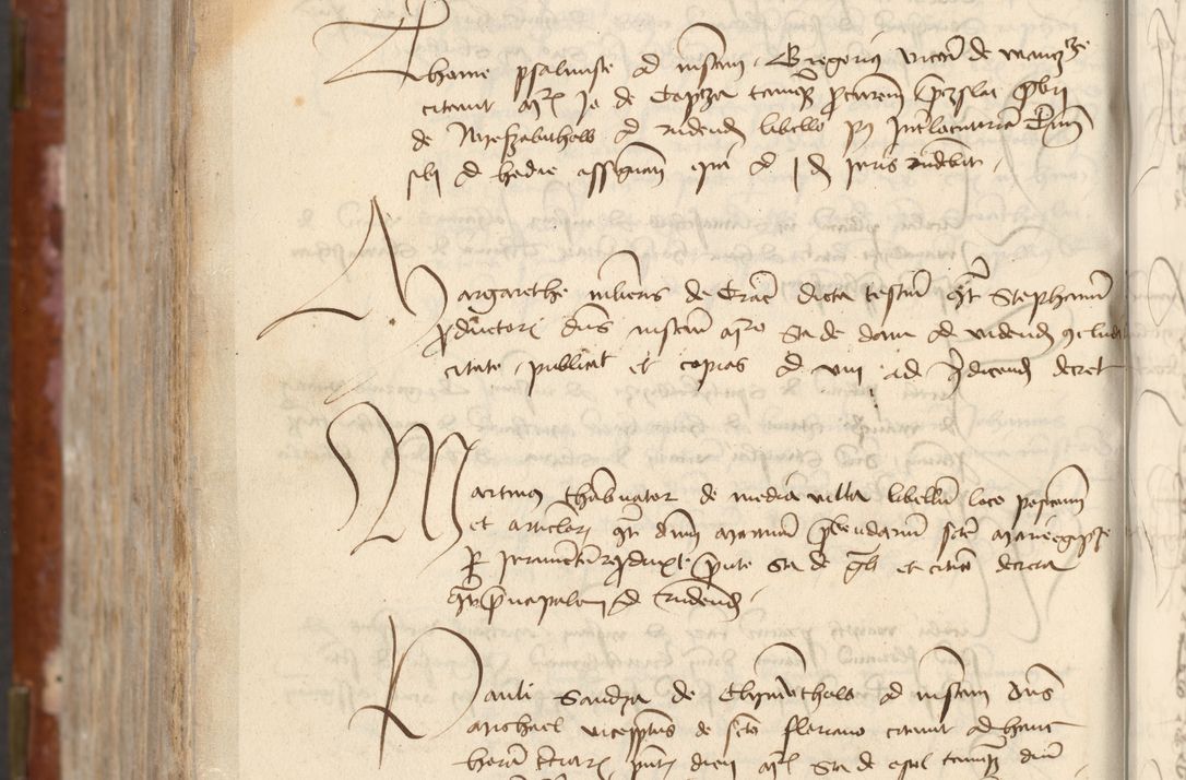 Zdjęcie nr 782 dla obiektu archiwalnego: [Acta actorum officialia coram Raphaele de Skawina]