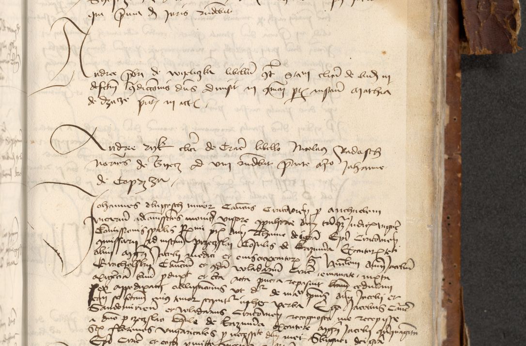 Zdjęcie nr 783 dla obiektu archiwalnego: [Acta actorum officialia coram Raphaele de Skawina]