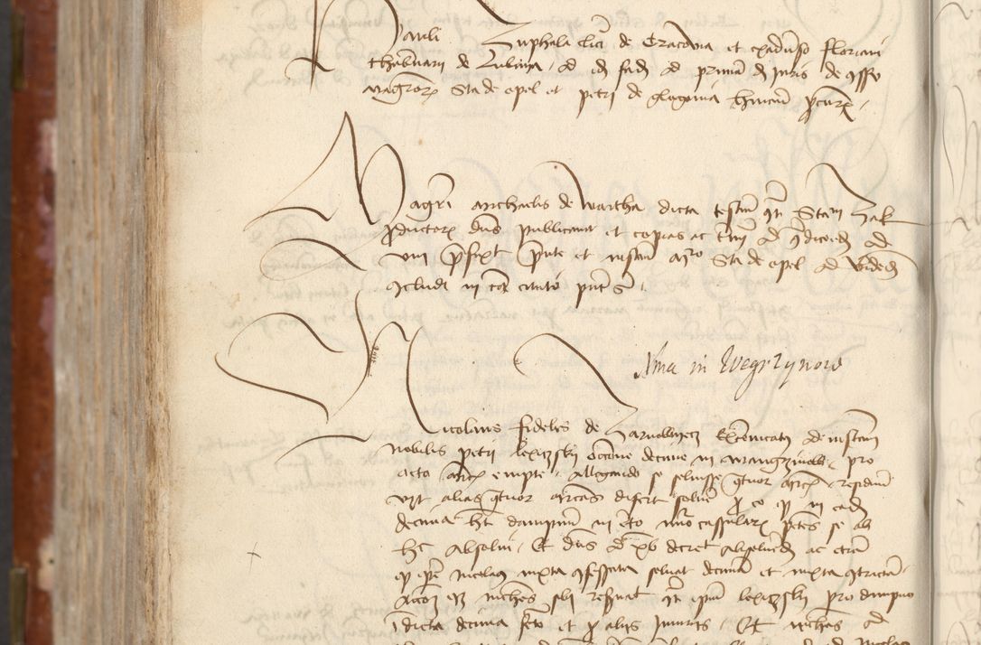 Zdjęcie nr 774 dla obiektu archiwalnego: [Acta actorum officialia coram Raphaele de Skawina]