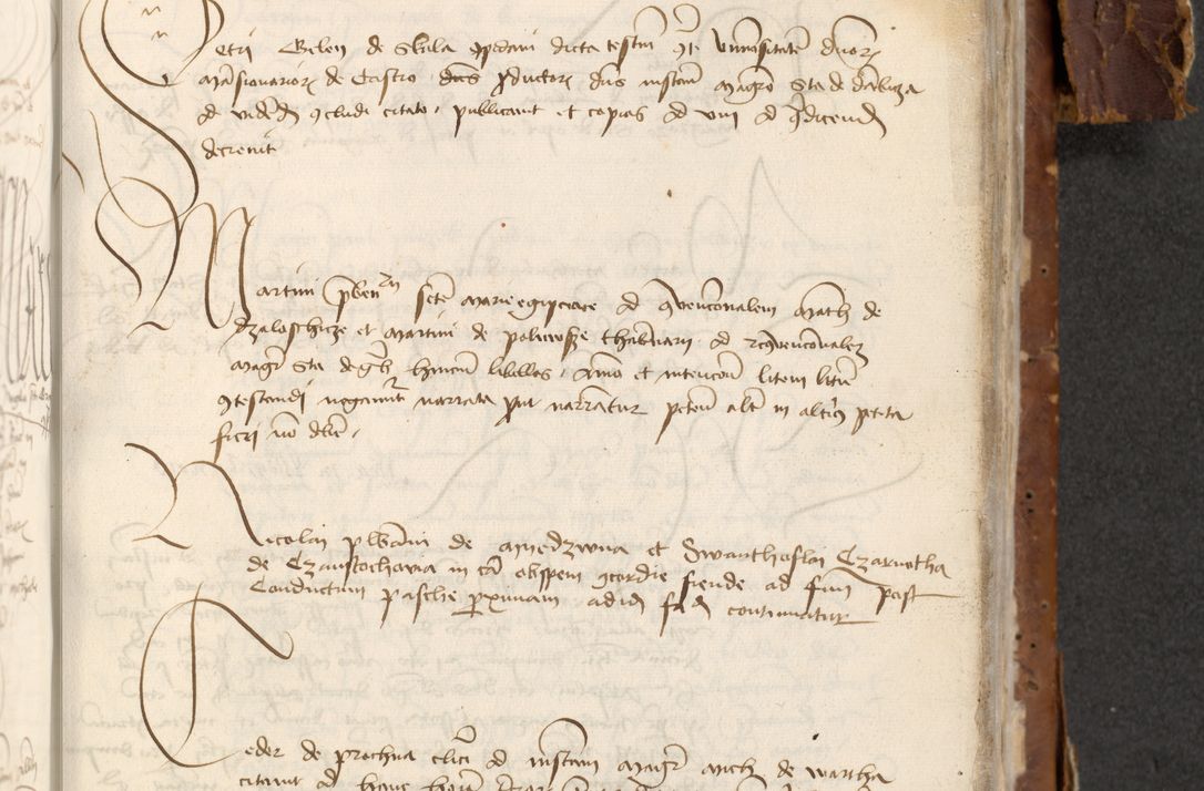 Zdjęcie nr 773 dla obiektu archiwalnego: [Acta actorum officialia coram Raphaele de Skawina]