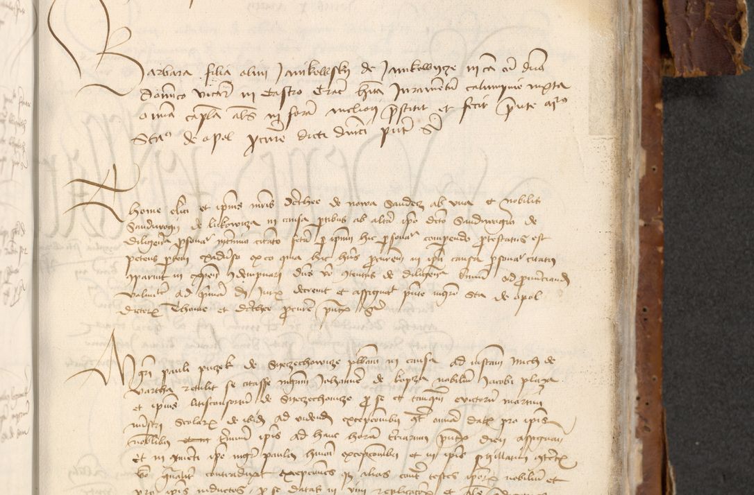 Zdjęcie nr 771 dla obiektu archiwalnego: [Acta actorum officialia coram Raphaele de Skawina]