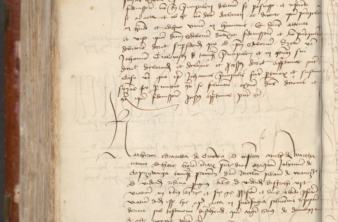 Zdjęcie nr 768 dla obiektu archiwalnego: [Acta actorum officialia coram Raphaele de Skawina]