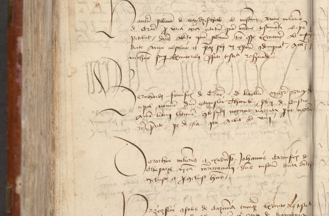 Zdjęcie nr 766 dla obiektu archiwalnego: [Acta actorum officialia coram Raphaele de Skawina]