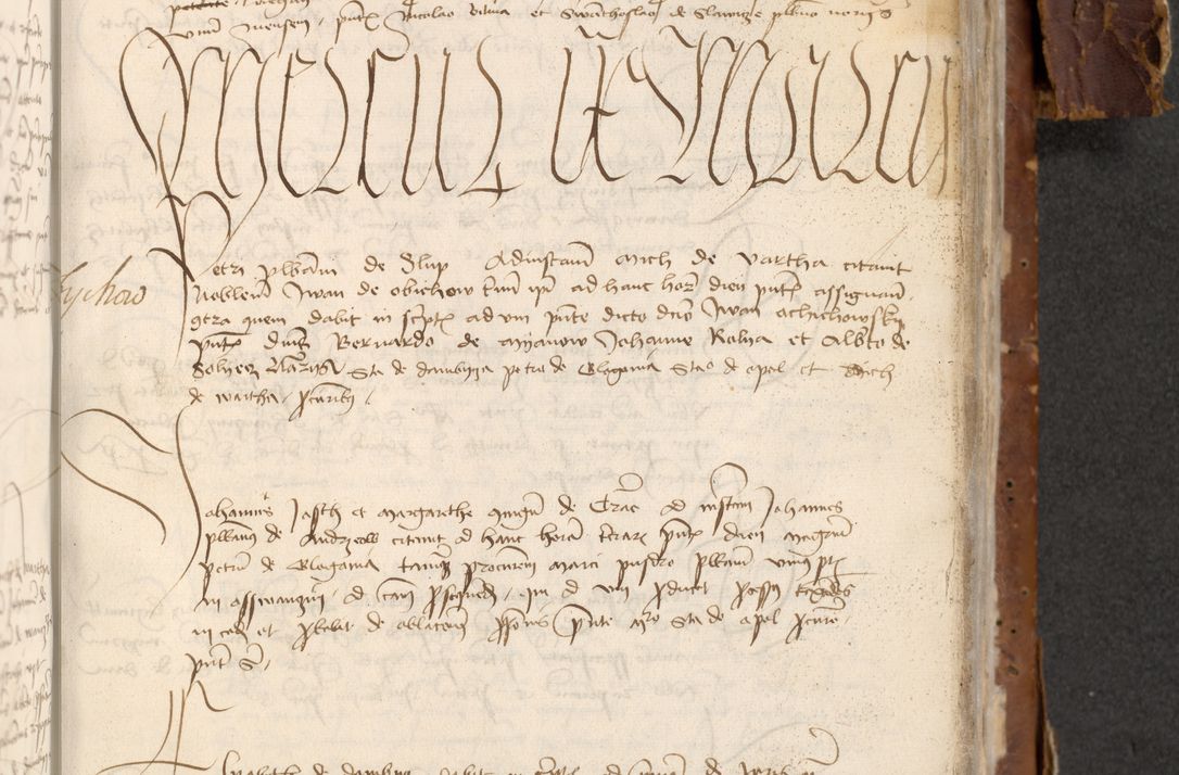 Zdjęcie nr 769 dla obiektu archiwalnego: [Acta actorum officialia coram Raphaele de Skawina]