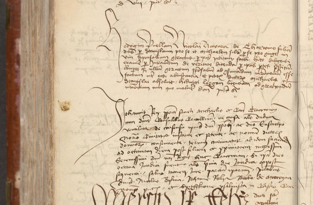 Zdjęcie nr 746 dla obiektu archiwalnego: [Acta actorum officialia coram Raphaele de Skawina]