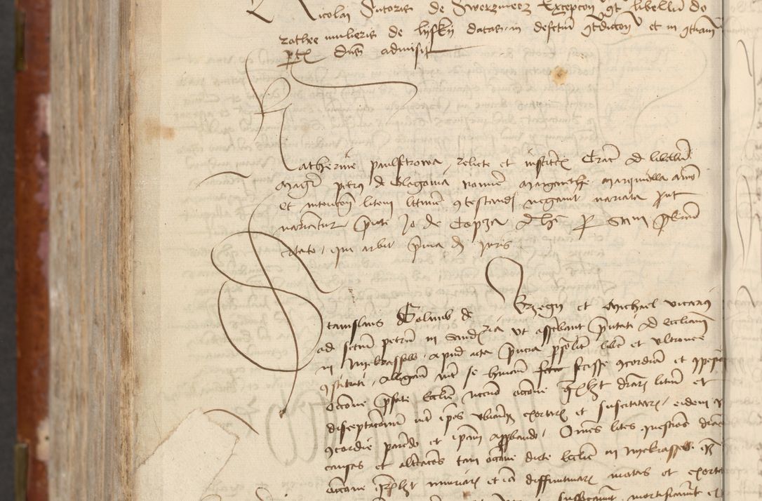 Zdjęcie nr 744 dla obiektu archiwalnego: [Acta actorum officialia coram Raphaele de Skawina]