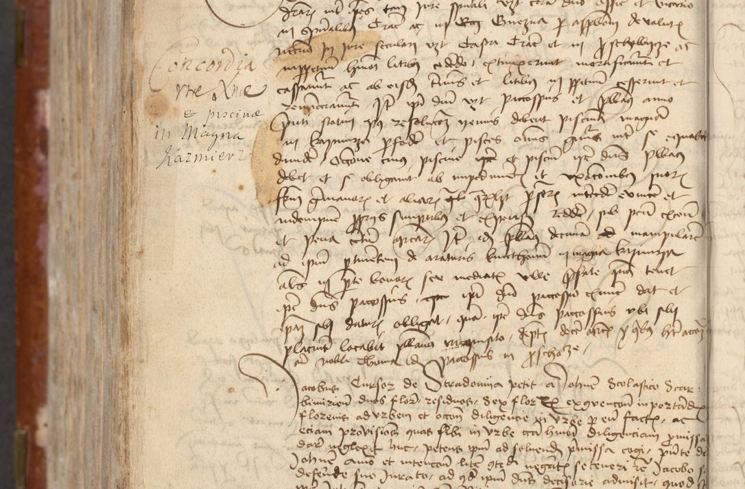 Zdjęcie nr 742 dla obiektu archiwalnego: [Acta actorum officialia coram Raphaele de Skawina]