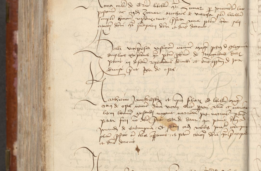 Zdjęcie nr 738 dla obiektu archiwalnego: [Acta actorum officialia coram Raphaele de Skawina]