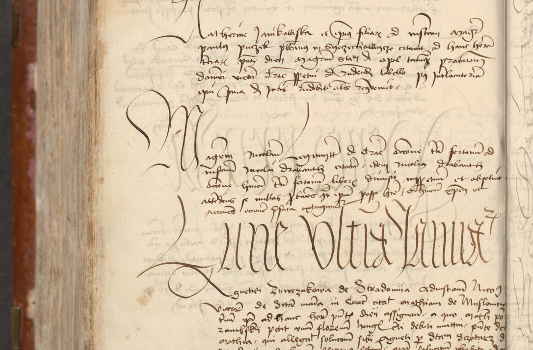 Zdjęcie nr 736 dla obiektu archiwalnego: [Acta actorum officialia coram Raphaele de Skawina]