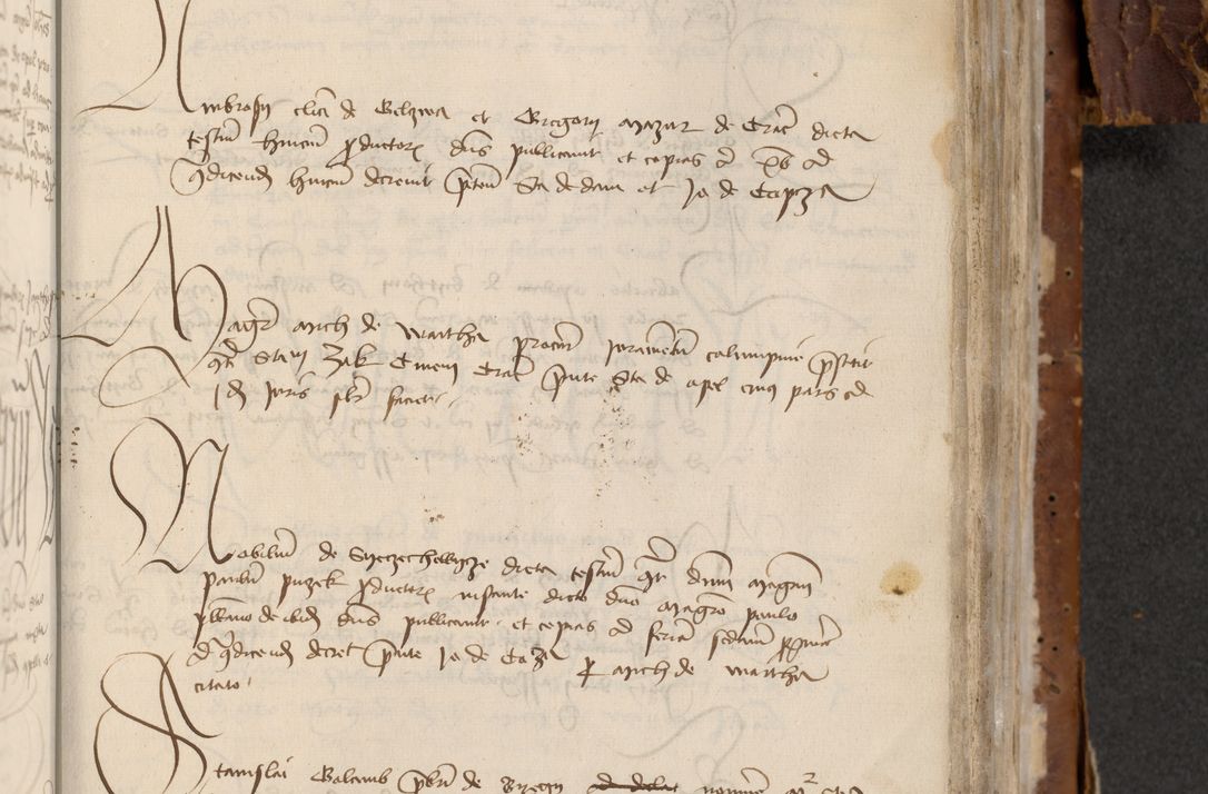 Zdjęcie nr 733 dla obiektu archiwalnego: [Acta actorum officialia coram Raphaele de Skawina]