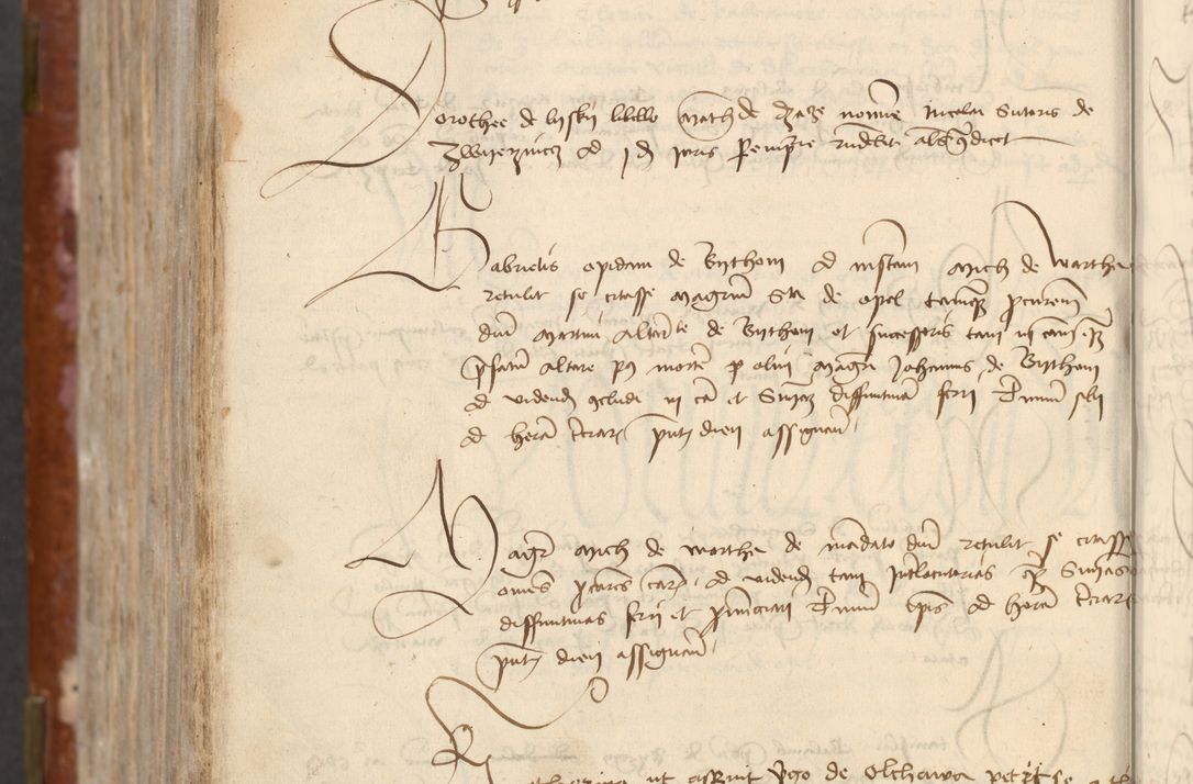 Zdjęcie nr 734 dla obiektu archiwalnego: [Acta actorum officialia coram Raphaele de Skawina]