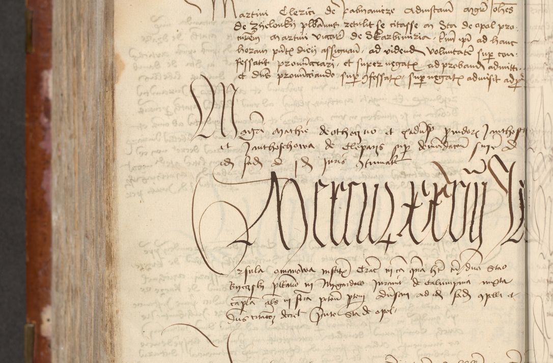 Zdjęcie nr 732 dla obiektu archiwalnego: [Acta actorum officialia coram Raphaele de Skawina]