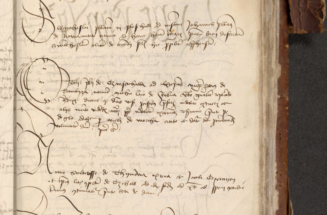 Zdjęcie nr 725 dla obiektu archiwalnego: [Acta actorum officialia coram Raphaele de Skawina]