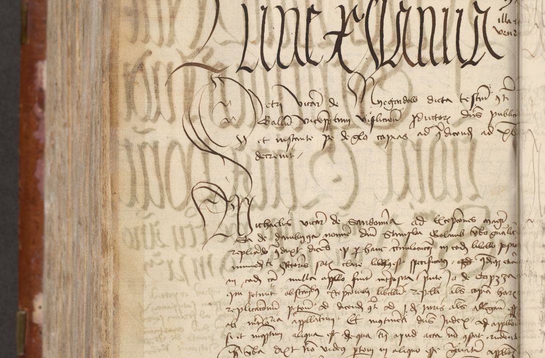 Zdjęcie nr 720 dla obiektu archiwalnego: [Acta actorum officialia coram Raphaele de Skawina]