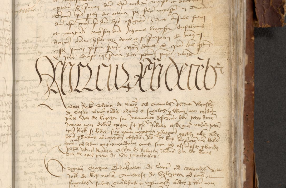 Zdjęcie nr 703 dla obiektu archiwalnego: [Acta actorum officialia coram Raphaele de Skawina]