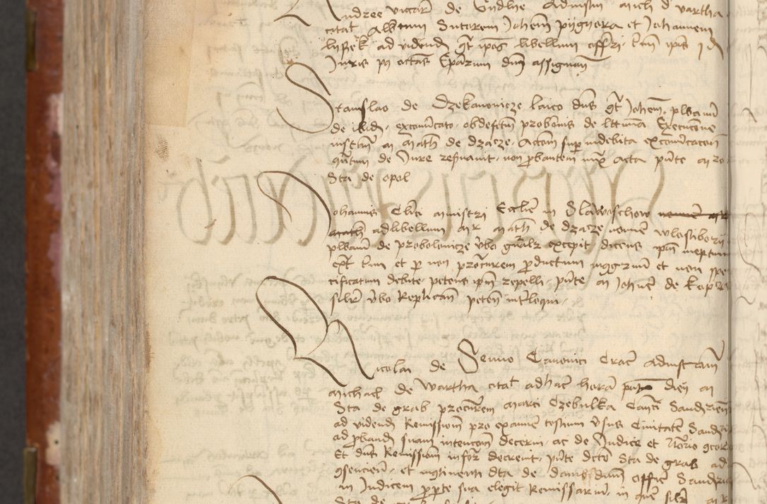 Zdjęcie nr 704 dla obiektu archiwalnego: [Acta actorum officialia coram Raphaele de Skawina]