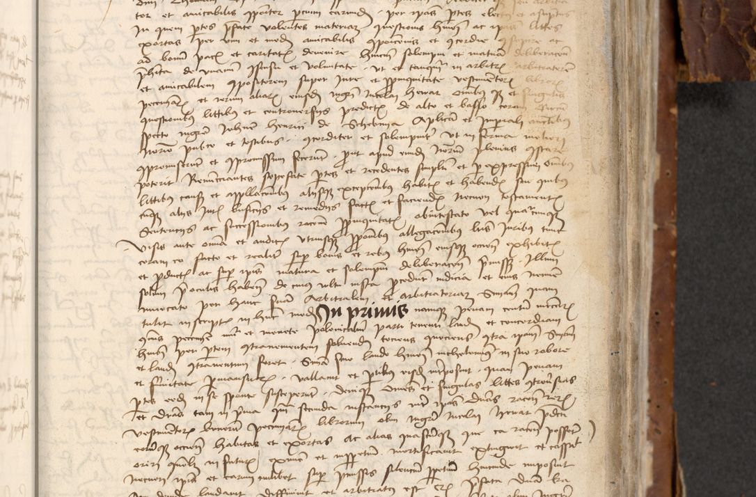 Zdjęcie nr 639 dla obiektu archiwalnego: [Acta actorum officialia coram Raphaele de Skawina]