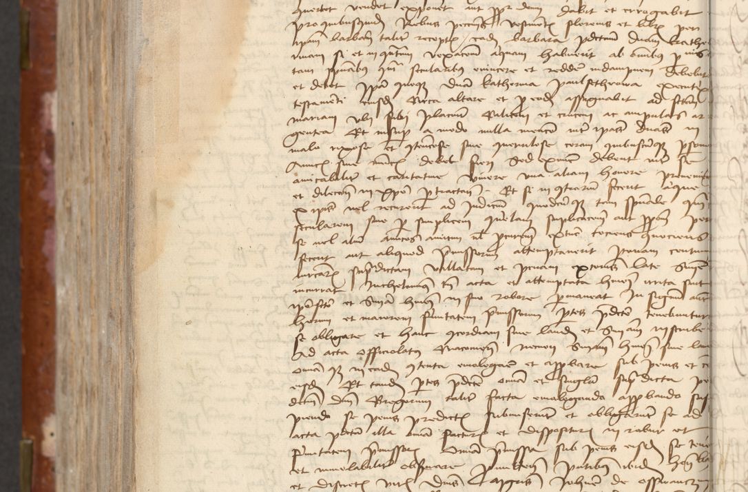 Zdjęcie nr 640 dla obiektu archiwalnego: [Acta actorum officialia coram Raphaele de Skawina]