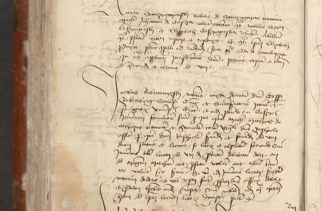 Zdjęcie nr 982 dla obiektu archiwalnego: [Acta actorum officialia coram Raphaele de Skawina]