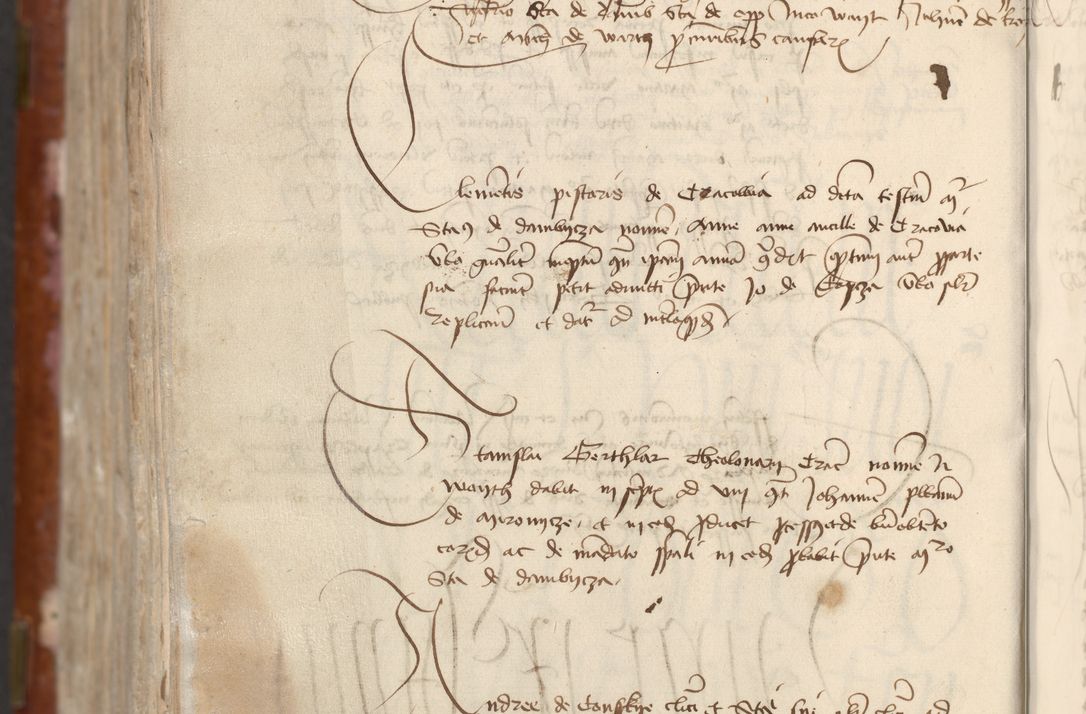 Zdjęcie nr 974 dla obiektu archiwalnego: [Acta actorum officialia coram Raphaele de Skawina]