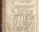 Zdjęcie nr 972 dla obiektu archiwalnego: [Acta actorum officialia coram Raphaele de Skawina]