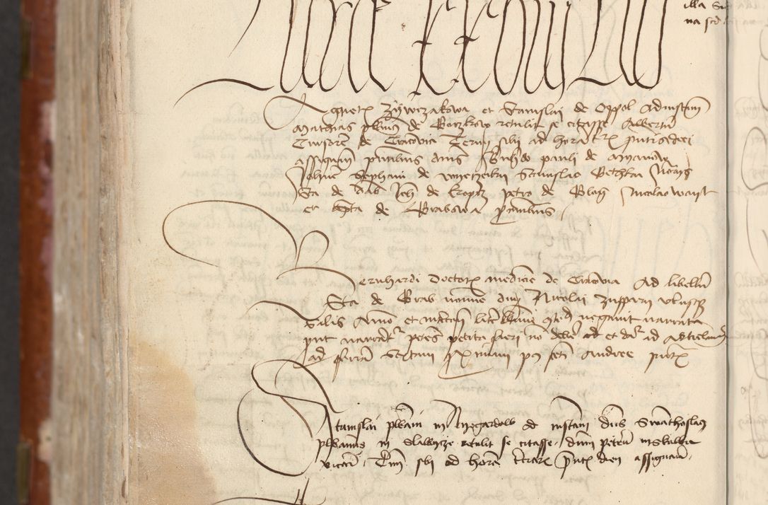 Zdjęcie nr 950 dla obiektu archiwalnego: [Acta actorum officialia coram Raphaele de Skawina]