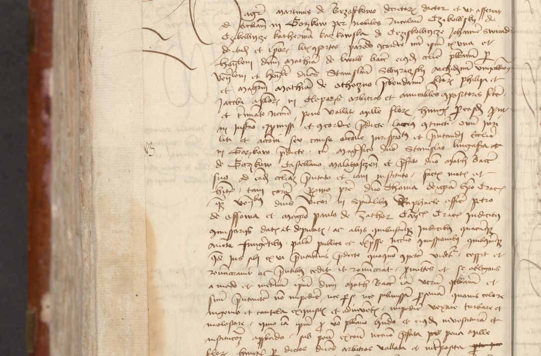 Zdjęcie nr 914 dla obiektu archiwalnego: [Acta actorum officialia coram Raphaele de Skawina]