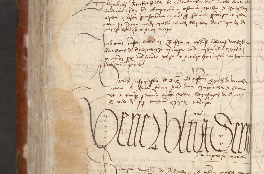 Zdjęcie nr 902 dla obiektu archiwalnego: [Acta actorum officialia coram Raphaele de Skawina]