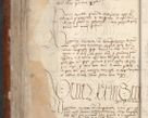 Zdjęcie nr 894 dla obiektu archiwalnego: [Acta actorum officialia coram Raphaele de Skawina]