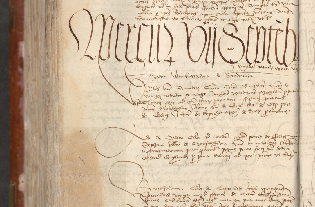 Zdjęcie nr 880 dla obiektu archiwalnego: [Acta actorum officialia coram Raphaele de Skawina]