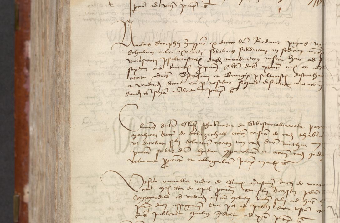 Zdjęcie nr 816 dla obiektu archiwalnego: [Acta actorum officialia coram Raphaele de Skawina]