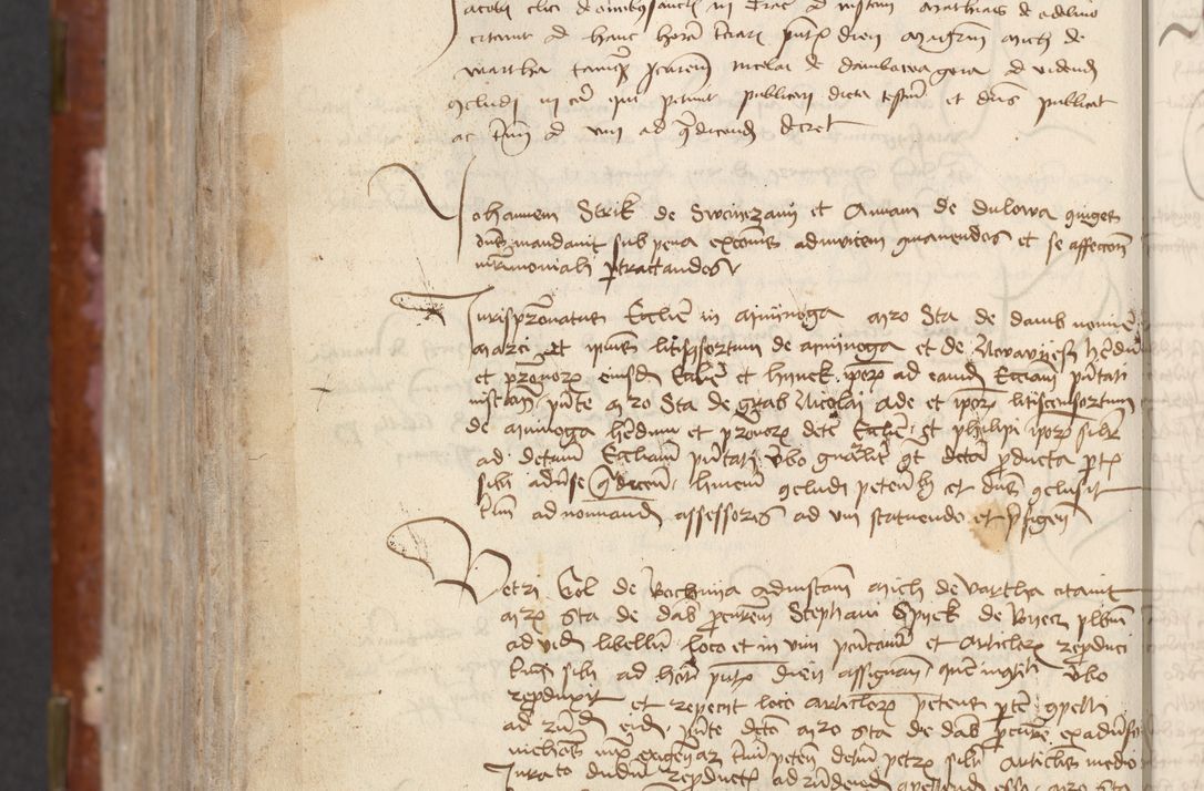 Zdjęcie nr 812 dla obiektu archiwalnego: [Acta actorum officialia coram Raphaele de Skawina]