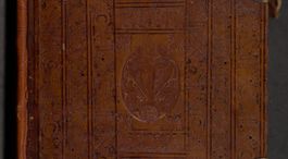 Zdjęcie nr 1 dla obiektu archiwalnego: [Acta actorum officialia coram Raphaele de Skawina]