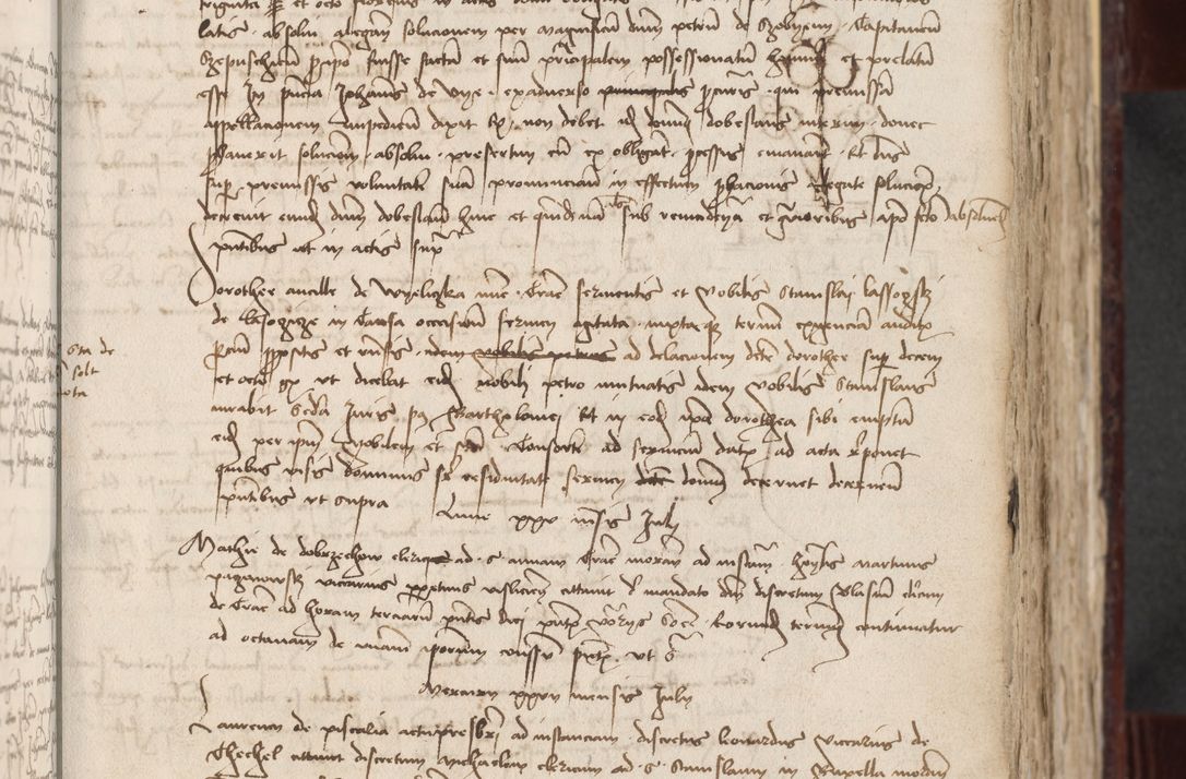 Zdjęcie nr 100 dla obiektu archiwalnego: [Acta actorum officialia coram Stanislao de Swieradzicze]