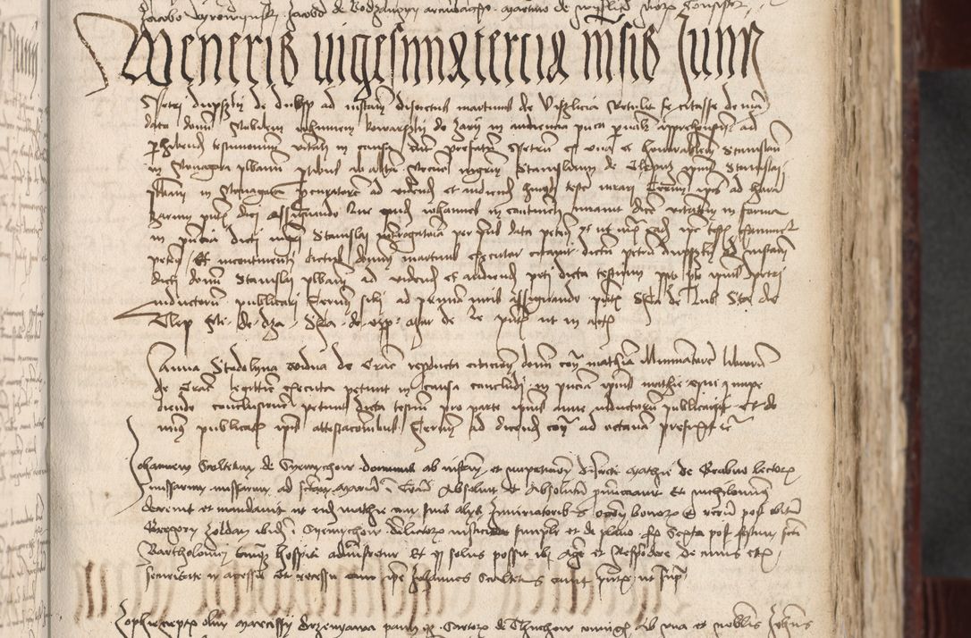 Zdjęcie nr 94 dla obiektu archiwalnego: [Acta actorum officialia coram Stanislao de Swieradzicze]