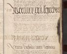 Zdjęcie nr 27 dla obiektu archiwalnego: [Acta actorum officialia coram Stanislao de Swieradzicze]