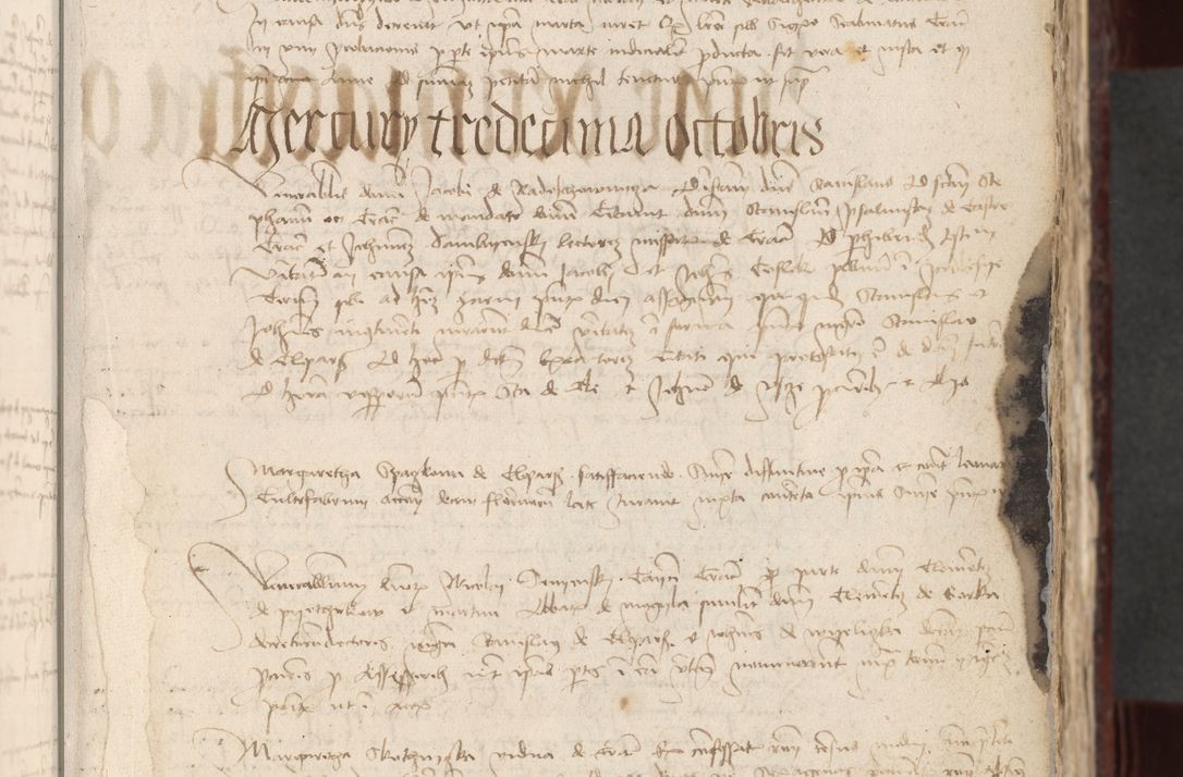 Zdjęcie nr 29 dla obiektu archiwalnego: [Acta actorum officialia coram Stanislao de Swieradzicze]