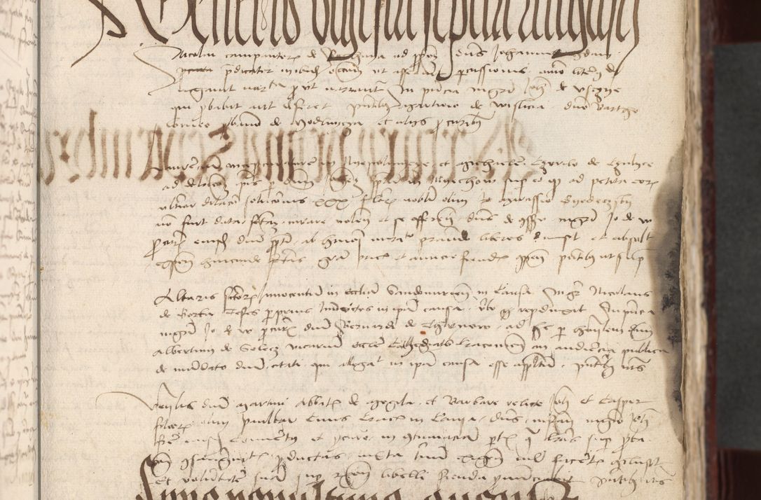 Zdjęcie nr 24 dla obiektu archiwalnego: [Acta actorum officialia coram Stanislao de Swieradzicze]