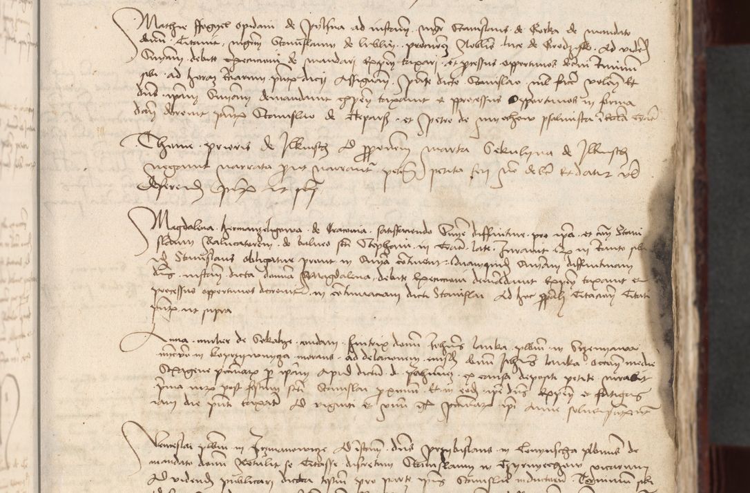 Zdjęcie nr 22 dla obiektu archiwalnego: [Acta actorum officialia coram Stanislao de Swieradzicze]