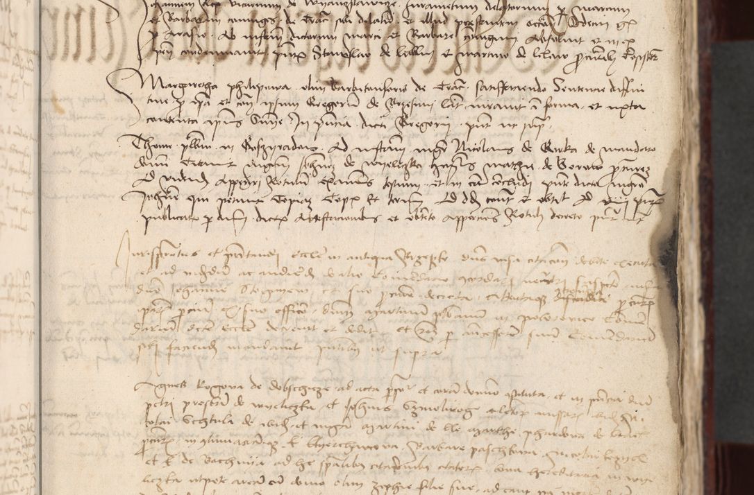 Zdjęcie nr 19 dla obiektu archiwalnego: [Acta actorum officialia coram Stanislao de Swieradzicze]