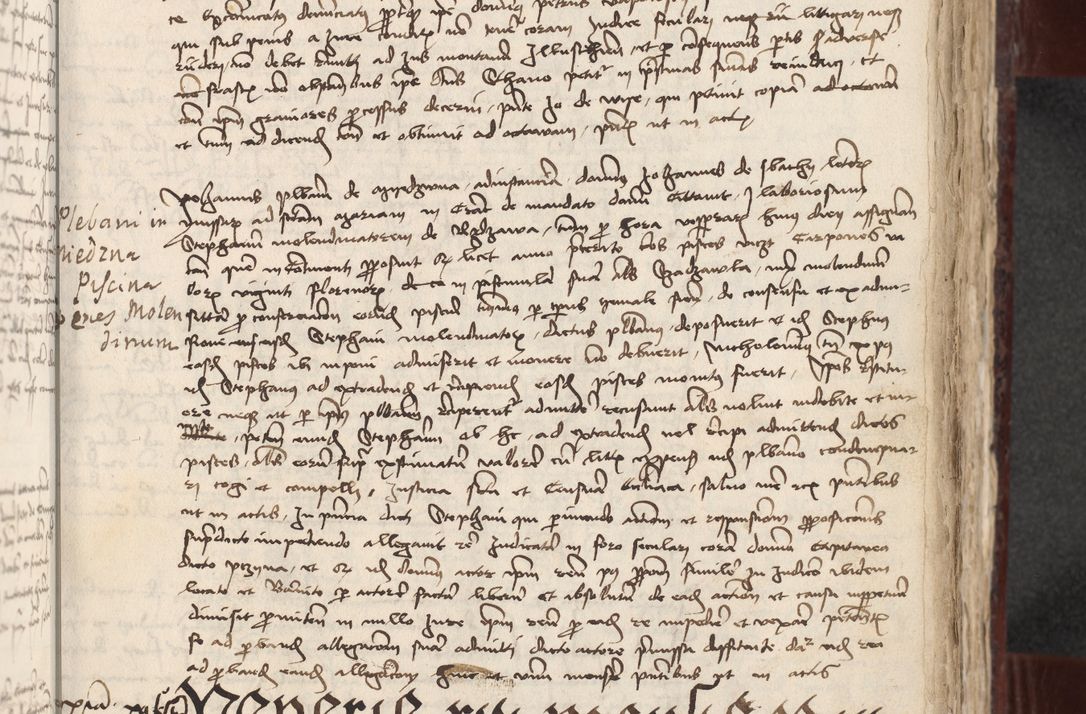 Zdjęcie nr 192 dla obiektu archiwalnego: [Acta actorum officialia coram Stanislao de Swieradzicze]