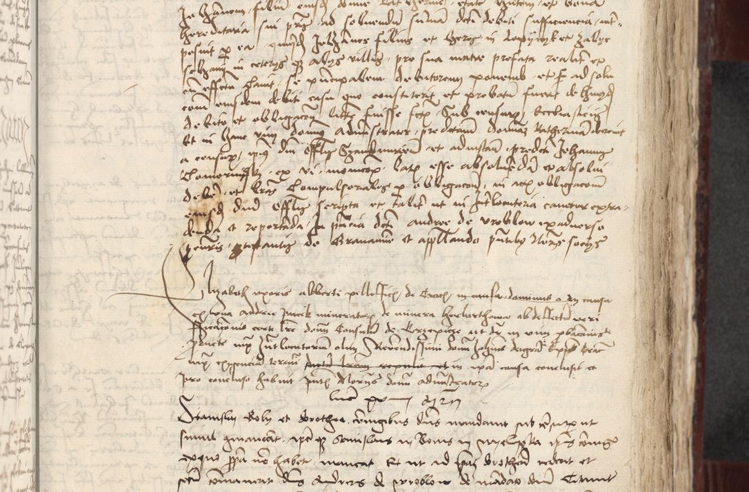 Zdjęcie nr 176 dla obiektu archiwalnego: [Acta actorum officialia coram Stanislao de Swieradzicze]