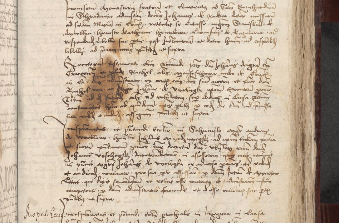 Zdjęcie nr 173 dla obiektu archiwalnego: [Acta actorum officialia coram Stanislao de Swieradzicze]