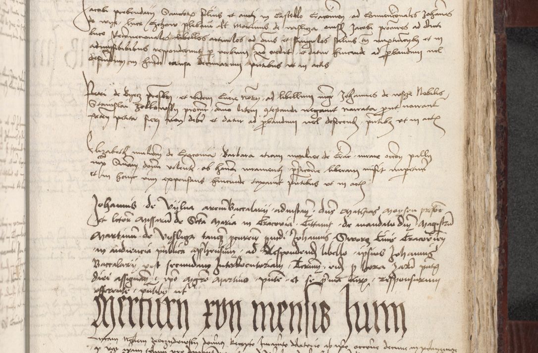 Zdjęcie nr 300 dla obiektu archiwalnego: [Acta actorum officialia coram Stanislao de Swieradzicze]