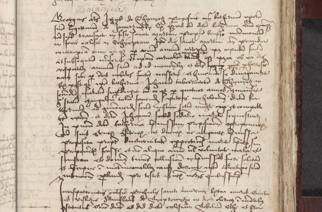 Zdjęcie nr 255 dla obiektu archiwalnego: [Acta actorum officialia coram Stanislao de Swieradzicze]