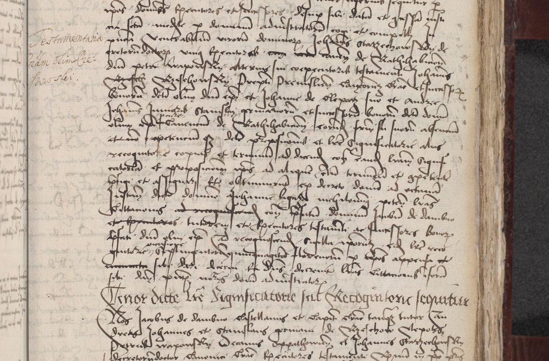 Zdjęcie nr 231 dla obiektu archiwalnego: [Acta actorum officialia coram Stanislao de Swieradzicze]