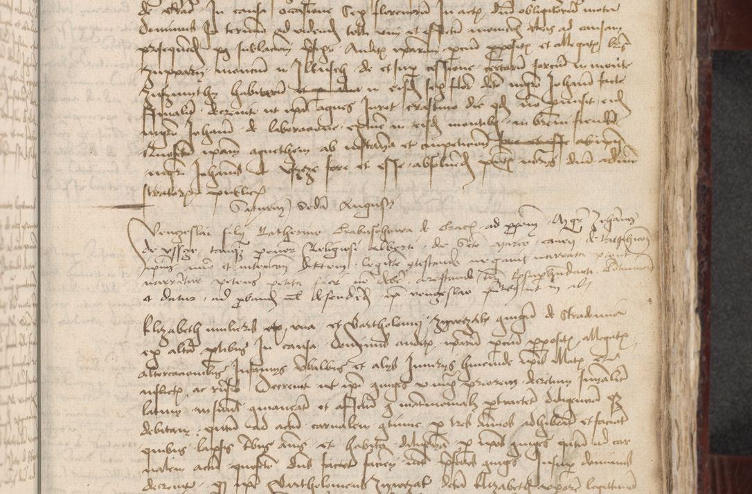 Zdjęcie nr 221 dla obiektu archiwalnego: [Acta actorum officialia coram Stanislao de Swieradzicze]