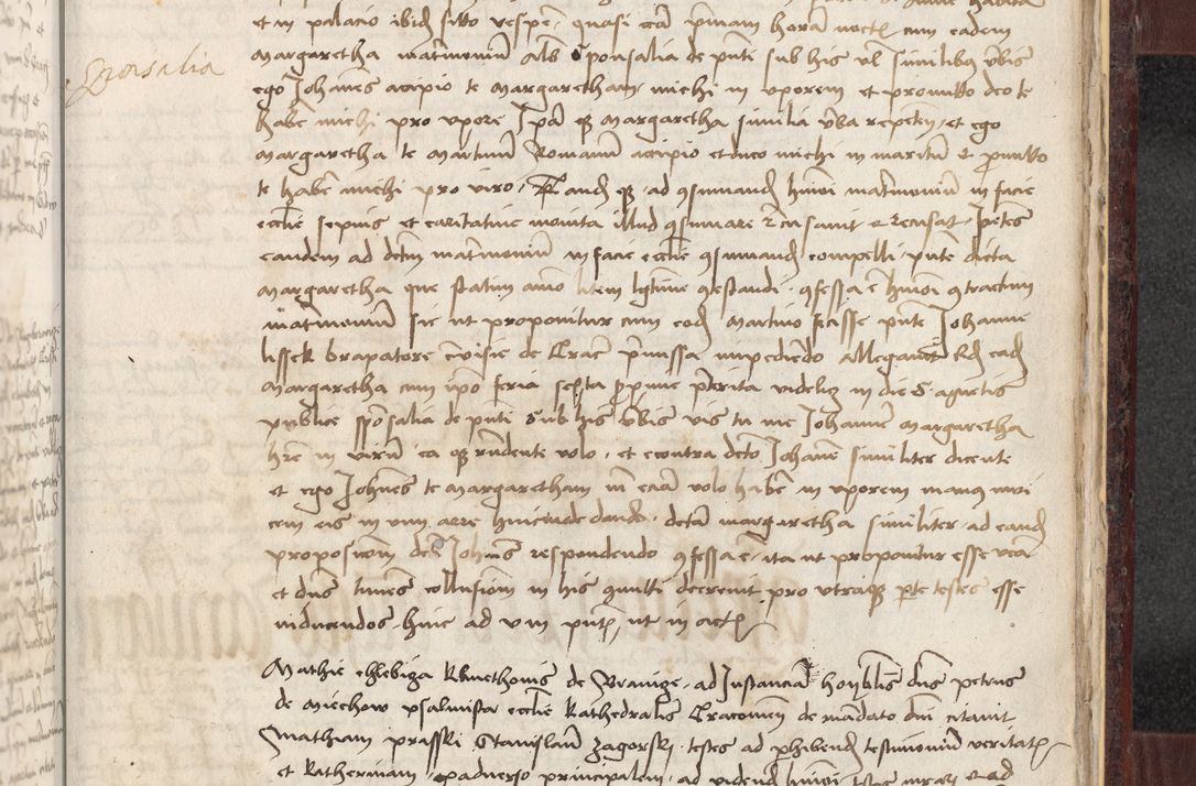 Zdjęcie nr 393 dla obiektu archiwalnego: [Acta actorum officialia coram Stanislao de Swieradzicze]